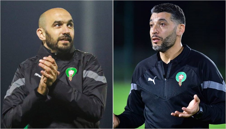 عصام الشرعي ووليد الركراكي