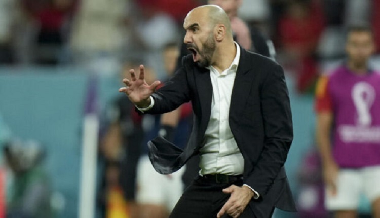 وليد الركراكي