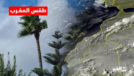 طقس وبيئة