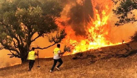 الجزائر.. الحرائق تجتاح من جديد منطقة القبائل