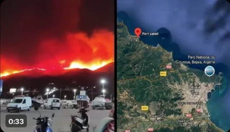 الجزائر.. اندلاع حريق في غابات منطقة "عش الباز"