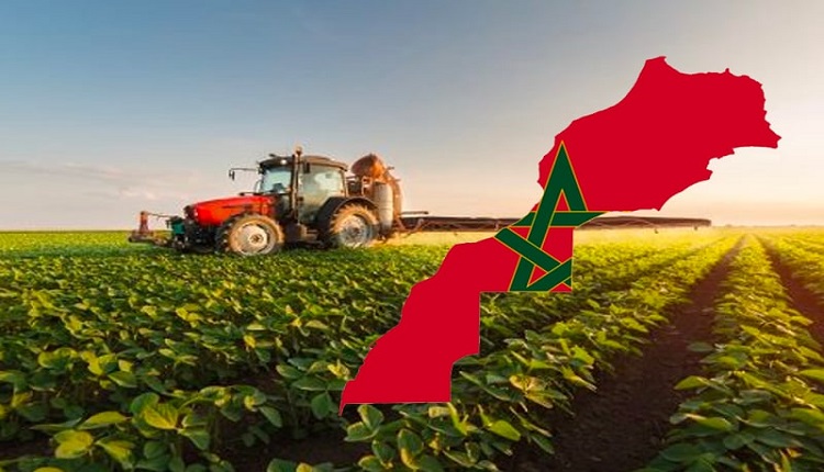 القطاع الفلاحي يظهر قدرة كبيرة على الصمود خلال موسم 2022-2023