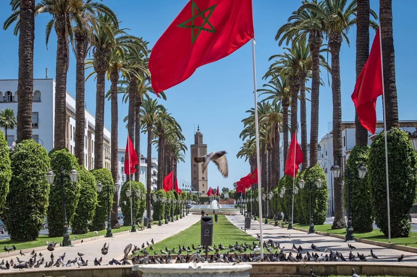 الفلبين.. انطلاق مهرجان "المغرب مملكة النور" بمانيلا