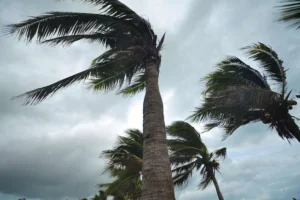 رياح قوية في طقس المغرب غدا الخميس
