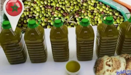 زيت الزيتون بالمغرب