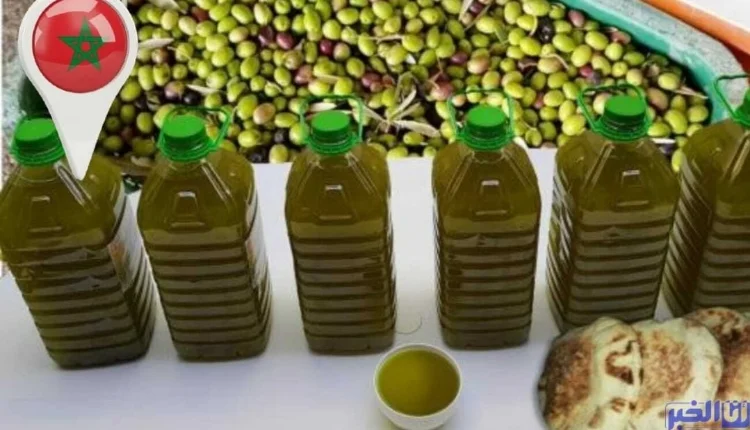 زيت الزيتون بالمغرب