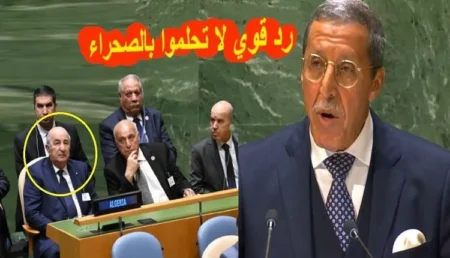 عمر هلال يرد على الرئيس الجزائري بالأمم المتحدة حول نزاع الصحراء المغربية