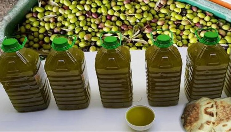 أسعار زيت الزيتون