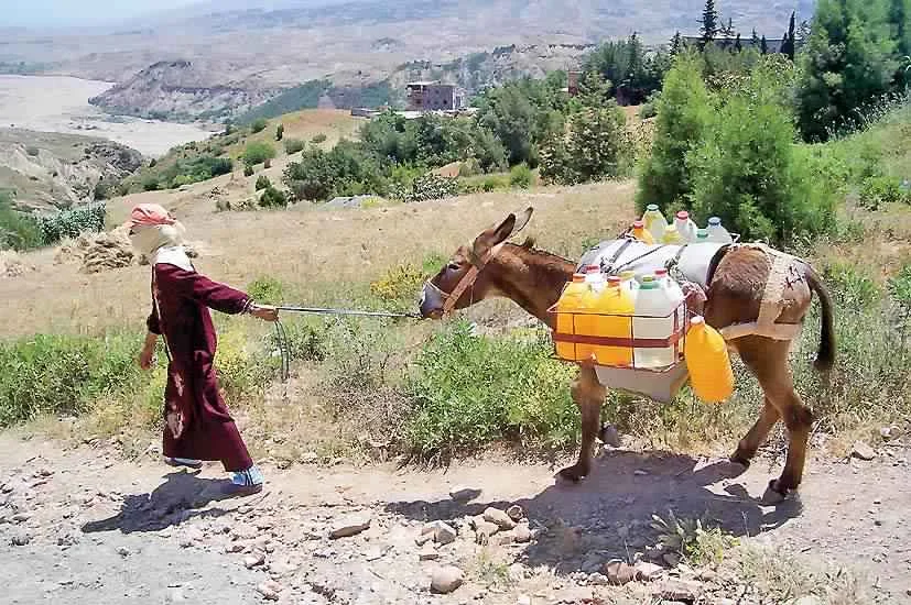 أكادير إداوتنان.. تزويد الدواوير التابعة لجماعة إيموزار بالماء الصالح للشرب
