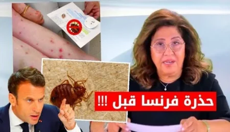 بق الفراش.. كيف توقعت ليلى عبد اللطيف انتشار هذه الحشرة