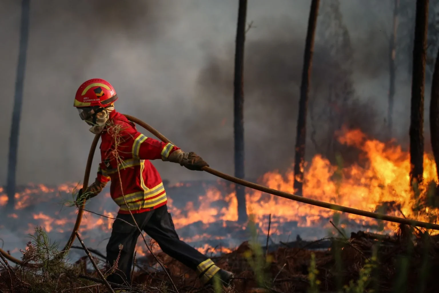 الحرائق تشتعل في قرية ماديرا في البرتغال
