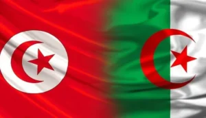 وزير تونسي يطالب باستعادة الصحراء التونسية من الجزائر