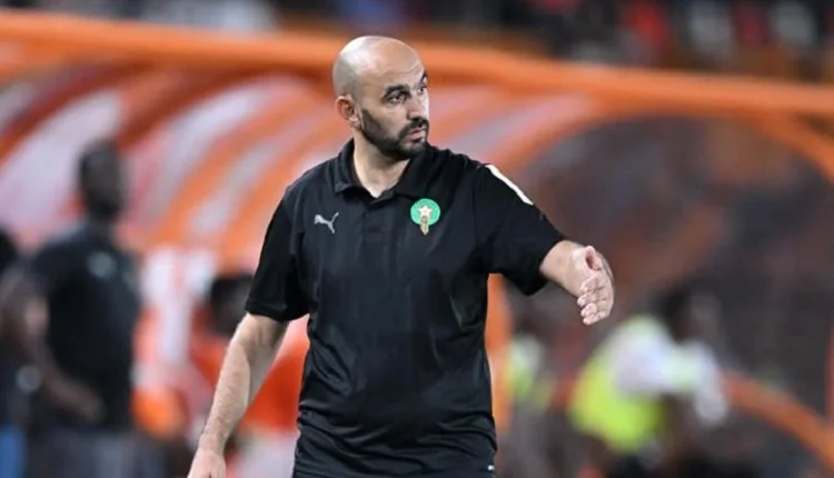 وليد الركراكي
