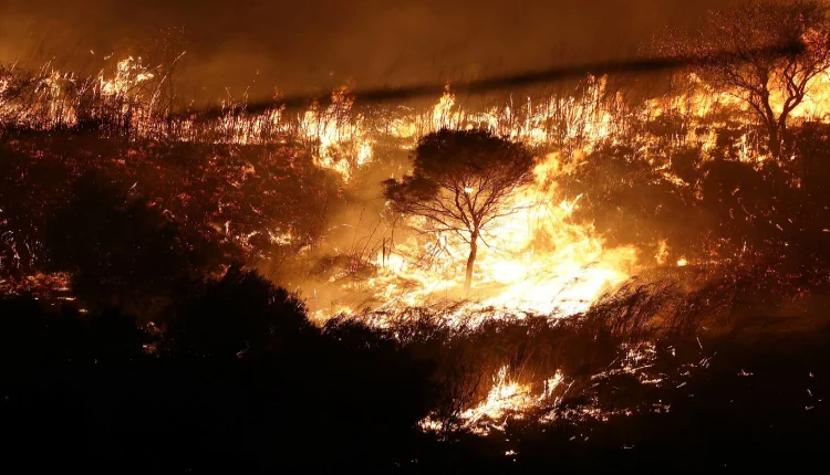 البرازيل الحرائق تلتهم أكثر من مليون هكتار غرب البلاد