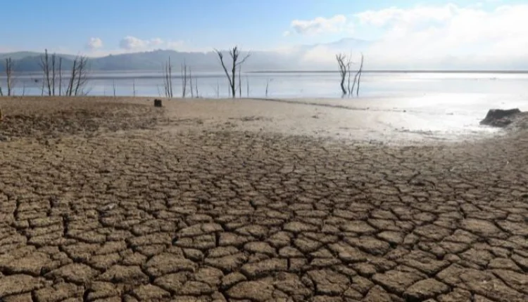 تونس تدابير أكثر صرامة في مواجهة الجفاف غير المسبوق