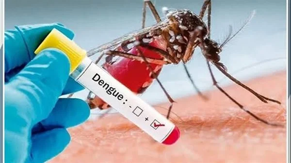 حمى الضنك تهدد الولايات المتحدة