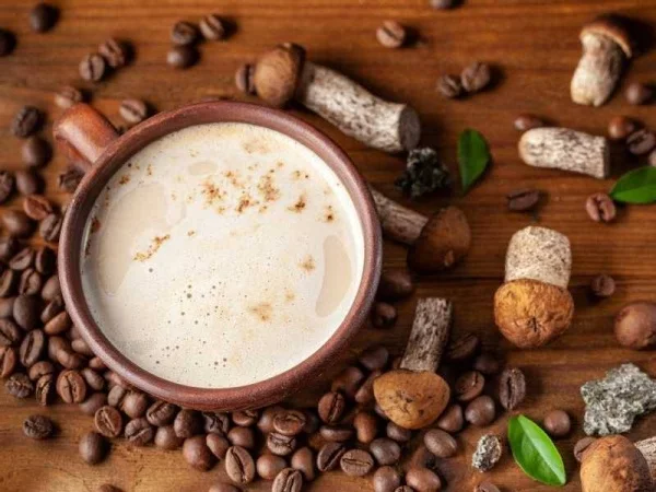 قهوة الفطر: فوائدها الصحية بين العلم والتسويق