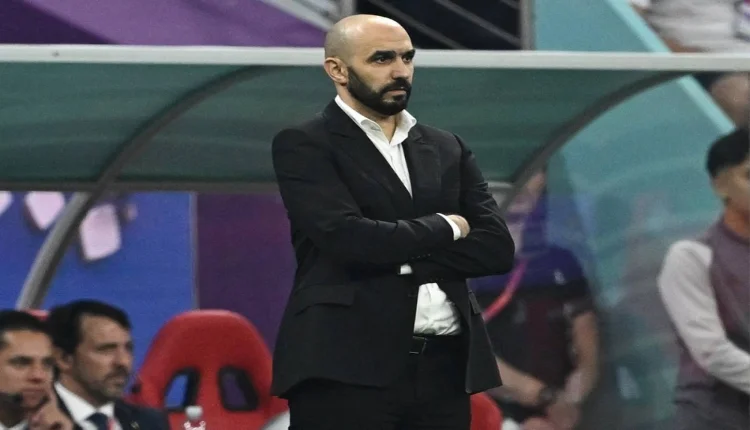 وليد الركراكي
