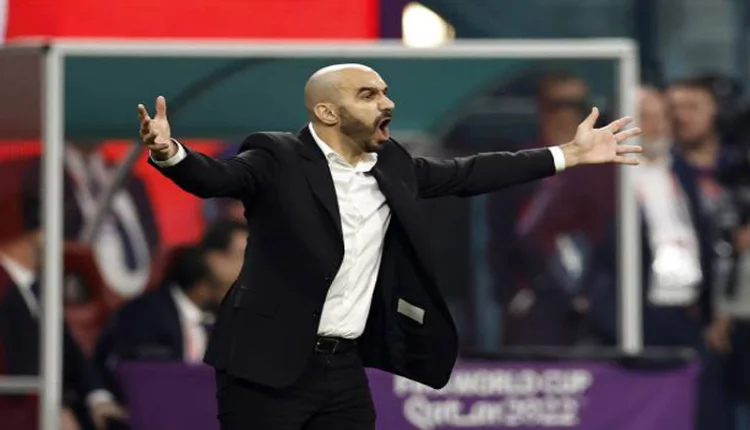 وليد الركراكي