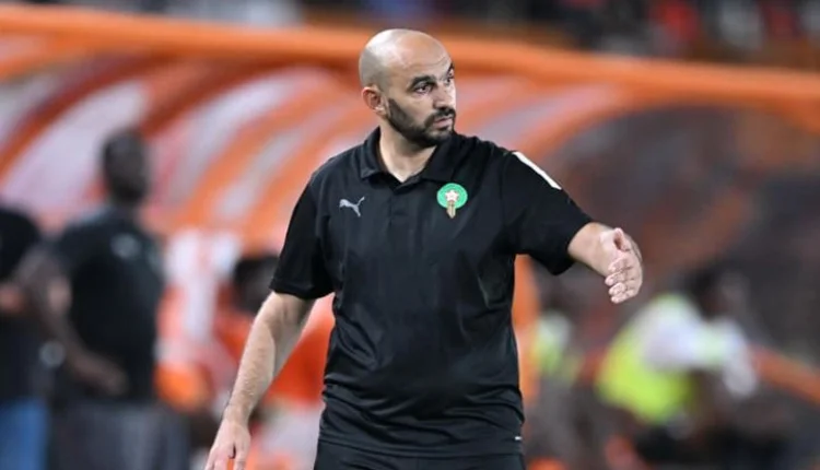 وليد الركراكي