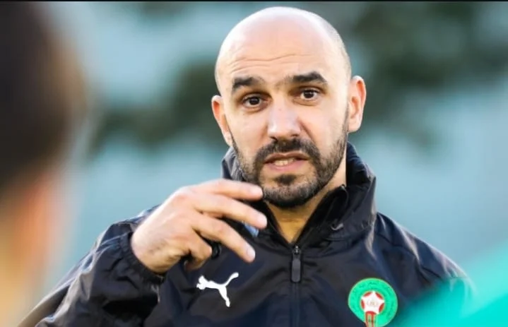 وليد الركراكي يُحدد تاريخ المعسكر الأخير قبل كأس إفريقيا