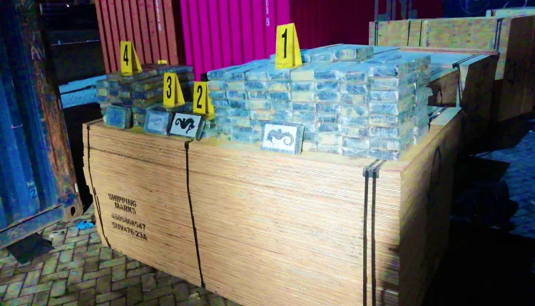 إجهاض عملية نوعية للتهريب الدولي للمخدرات القوية بطنجة