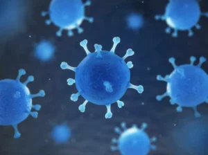 دراسة تؤكد أن النساء أكثر مقاومة للأمراض من الرجال