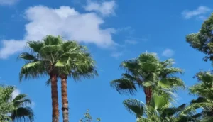 درجات الحرارة بالمغرب