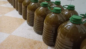 زيت الزيتون المغشوش فقيه بن صالح