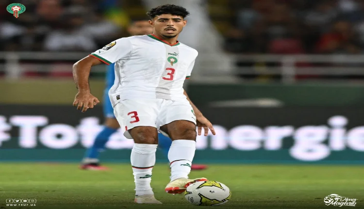 شادي رياض