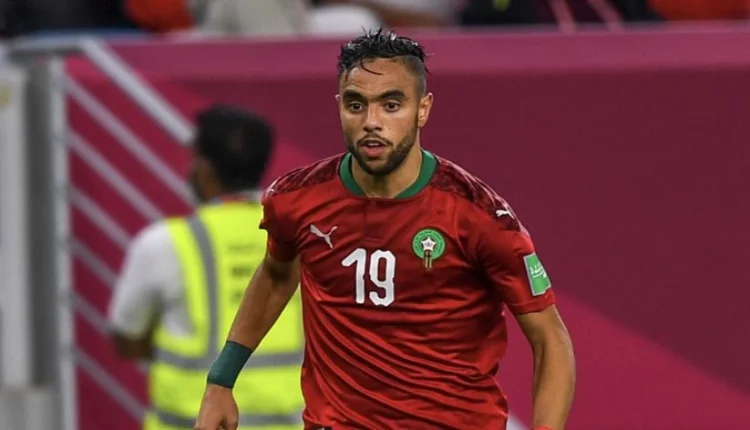 محمد الشيبي