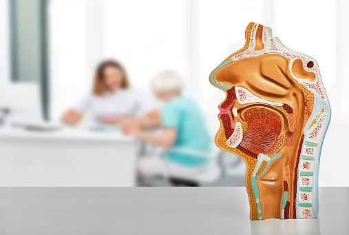 نصائح لمرضى الجيوب الأنفية