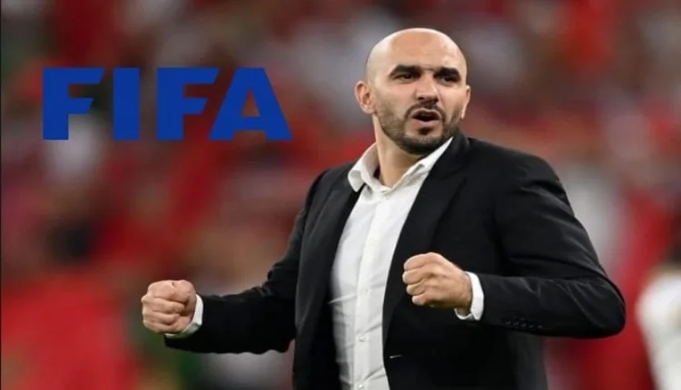 وليد الركراكي