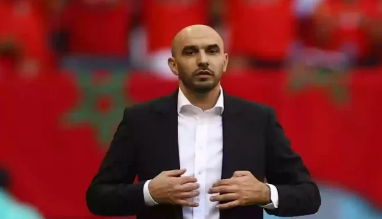 وليد الركراكي