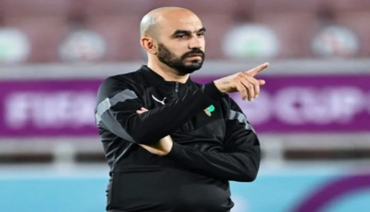 وليد الركراكي يقف في وجه الصحافة الإنجليزية بسبب نجم مغربي