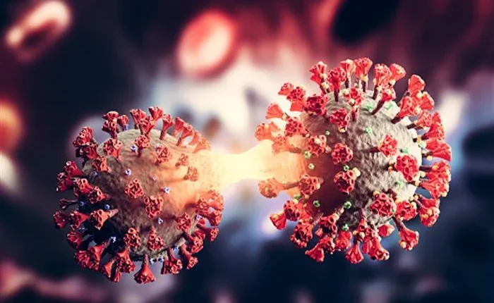 أغذية عالية المعالجة يمكن أن تضعف حاسة الشم