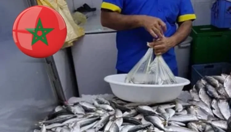 أسباب ارتفاع أسعار الأسماك في الأسواق المغربية