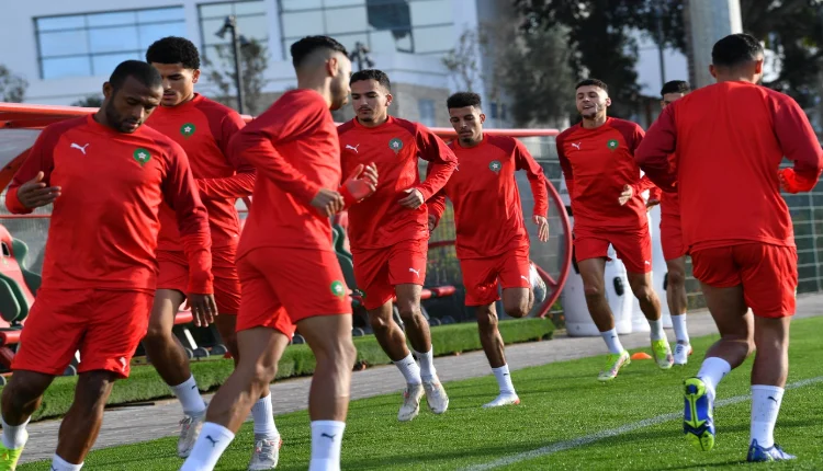 الجامعة الملكية تتفاوض مع منتخب أفريقي لمواجهة الأسود قبل الكان