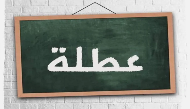 العطل البينية