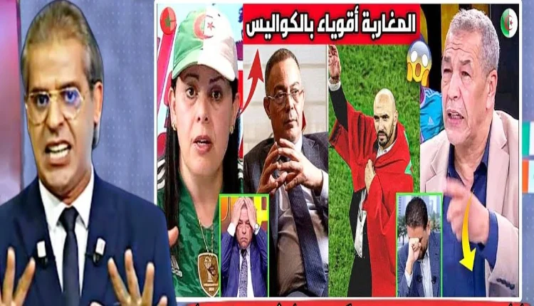 بالفيديو.. أول تعليق إعلام الجزائر بعد رفع العقوبة على الركراكي