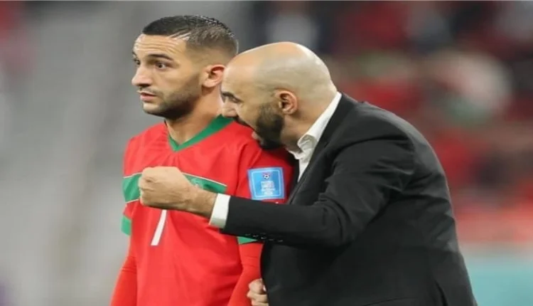 حكيم زياش ووليد الركراكي