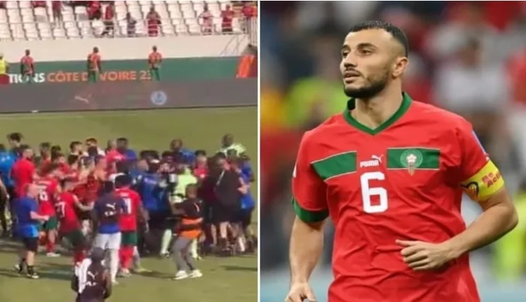 رومان سايس 8
