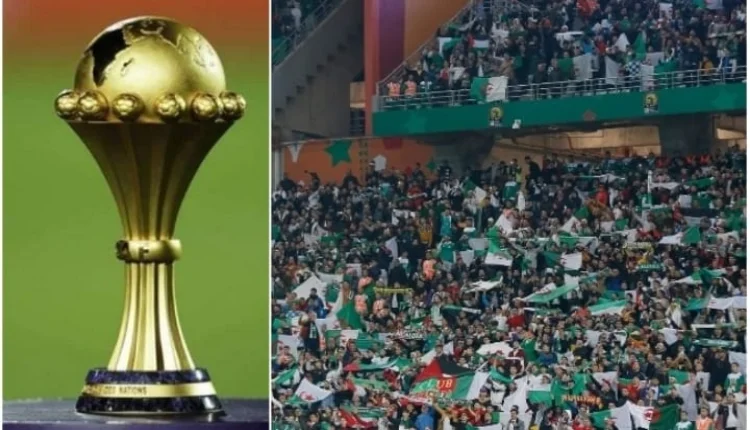مشجعة جزائرية تثير موجة غضب بالكوت ديفوار