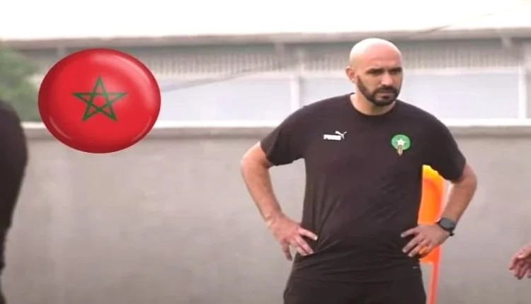 وليد الركراكي