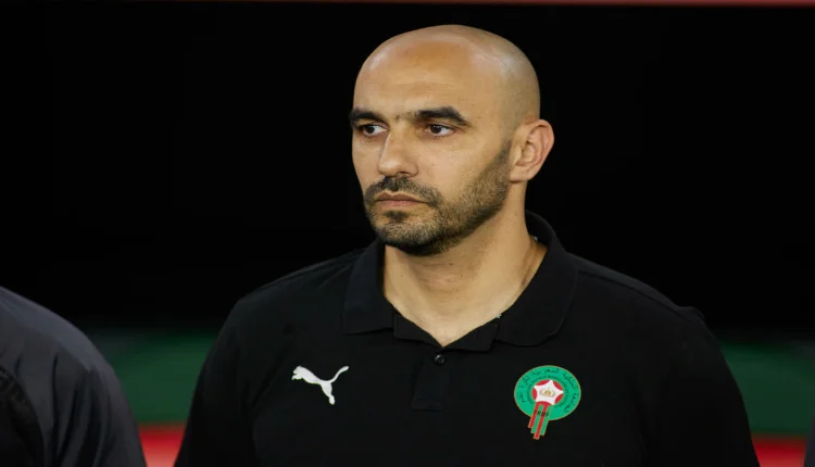 وليد الركراكي مدرب المنتخب المغربي