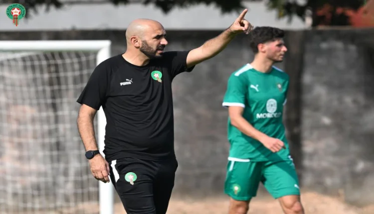 وليد الركراكي مدرب المنتخب المغربي