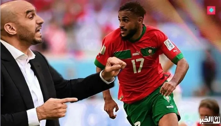 وليد الركراكي مسيرة بوفال انتهت في كأس أفريقيا