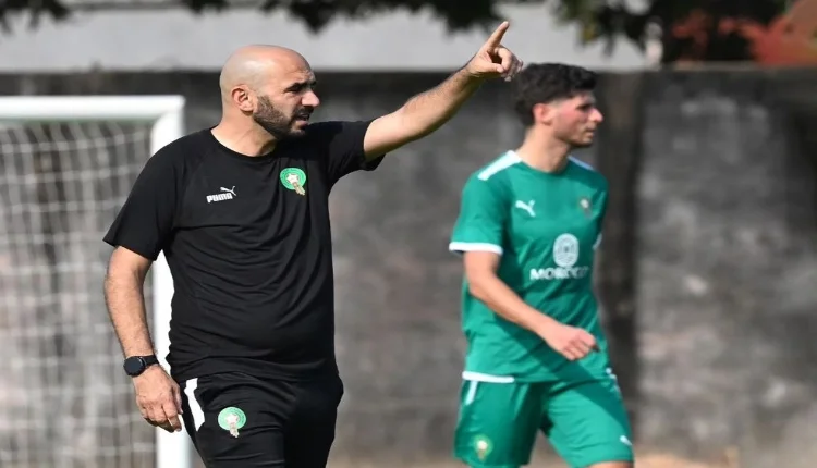 وليد الركراكي يعتمد على هذا الشخص لتحقيق انجاز في كأس أفريقيا