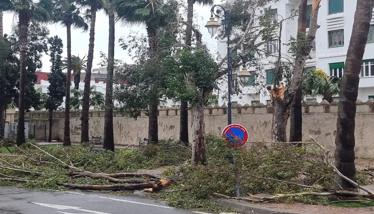 الرياح القوية تنهي حياة امرأة بطنجة