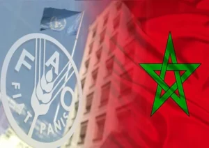 انتخاب المغرب رئيسا للمجلس التنفيذي لبرنامج الأغذية العالمي